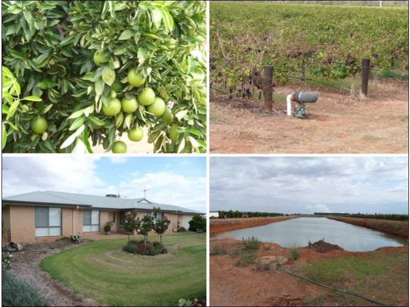 Widgelli NSW 2680