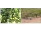 Widgelli NSW 2680