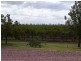 Widgelli NSW 2680
