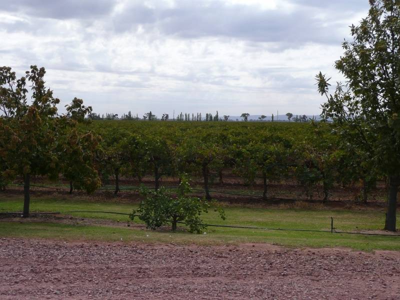 Widgelli NSW 2680