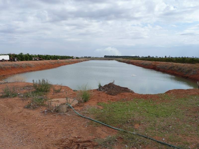 Widgelli NSW 2680