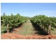 Yenda NSW 2681