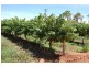 Yenda NSW 2681