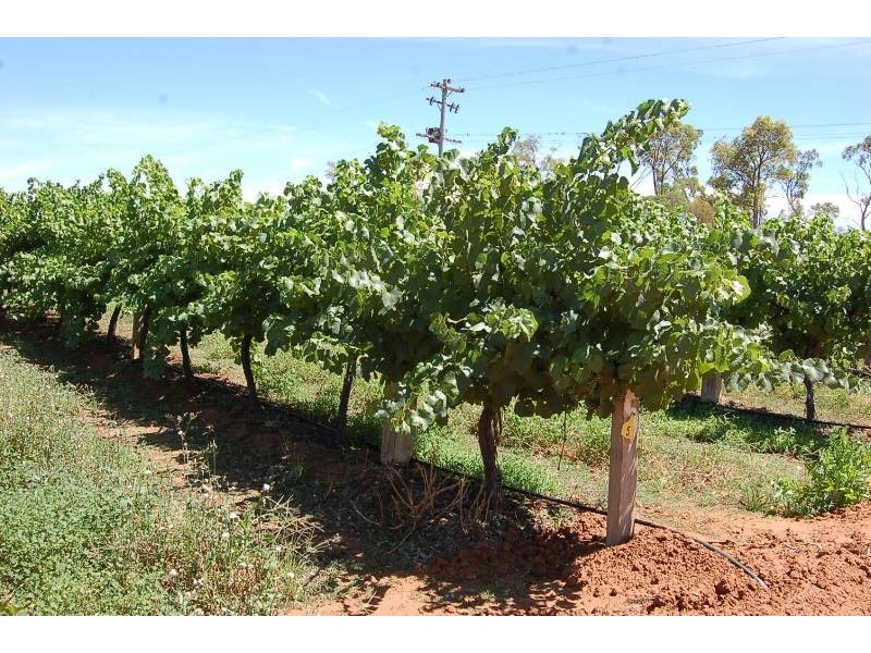 Yenda NSW 2681