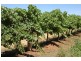 Yenda NSW 2681