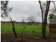 Farm 218 Elaroo Road, Coleambally NSW 2707