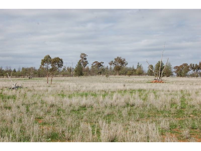 Farm 2695 Martins raod, Widgelli NSW 2680