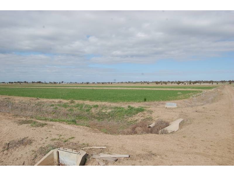 Farm 2695 Martins raod, Widgelli NSW 2680