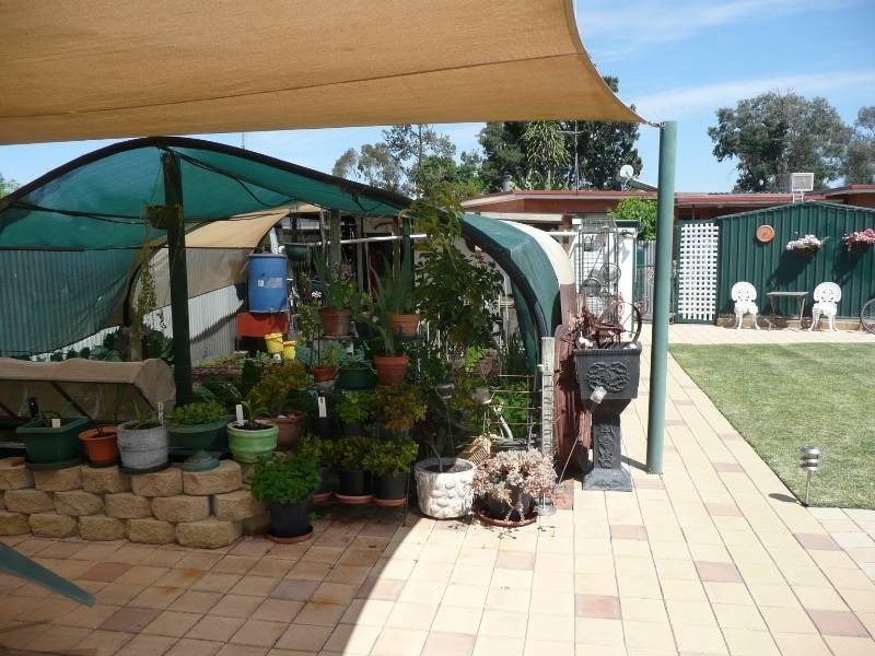 10 Bellbird Street, Coleambally NSW 2707