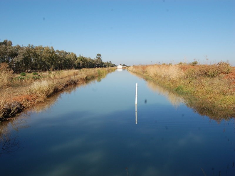 FARM/1444A Bilbul Road, Bilbul NSW 2680