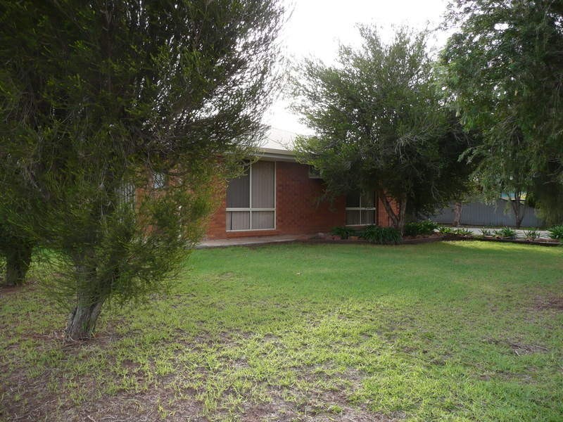 17 Chant Street, Darlington Point NSW 2706