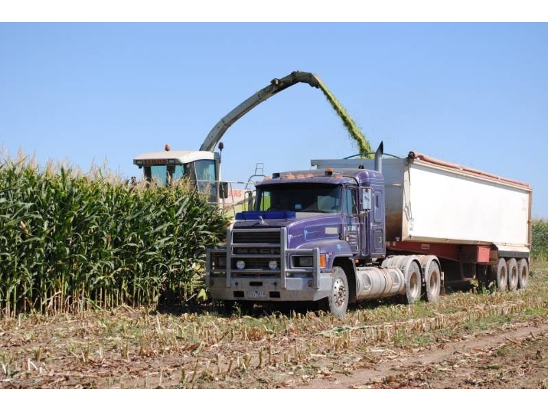 958 Irrigation Way, Cudgel NSW 2700