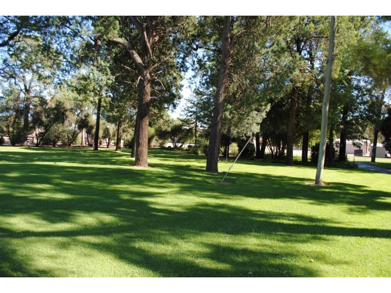 958 Irrigation Way, Cudgel NSW 2700