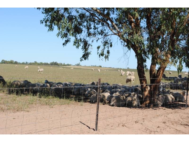 958 Irrigation Way, Cudgel NSW 2700