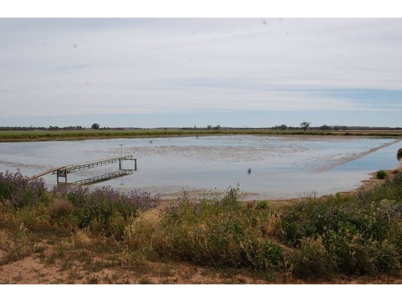 958 Irrigation Way, Cudgel NSW 2700