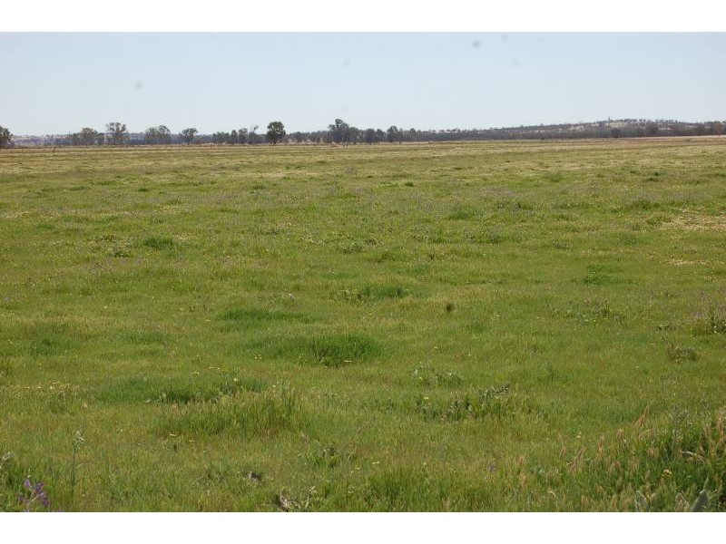 958 Irrigation Way, Cudgel NSW 2700