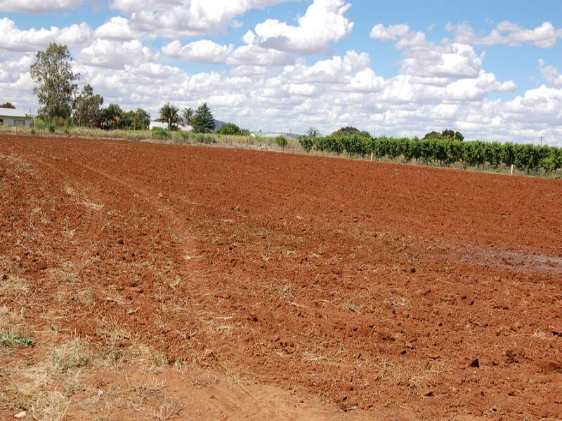 Farm 2252 Leeton-Yenda Road, Yenda NSW 2681