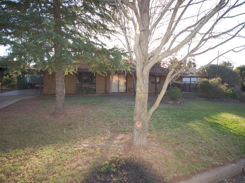 28 Bellbird Street, Coleambally NSW 2707