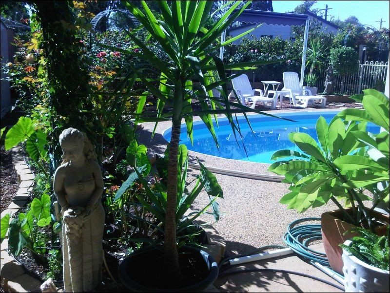 45 Noorla Street, Griffith NSW 2680