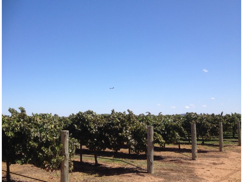 Farm 548B Moseley Road, Bilbul NSW 2680