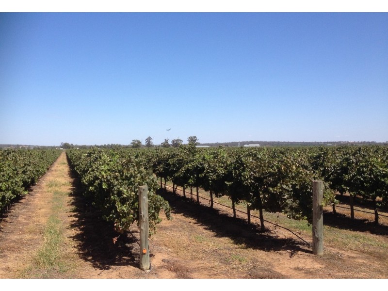 Farm 548B Moseley Road, Bilbul NSW 2680