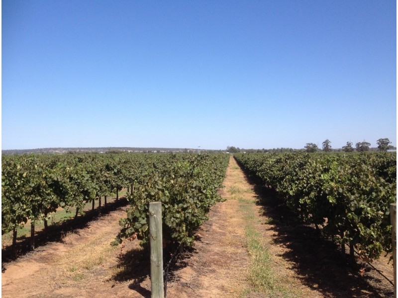 Farm 548B Moseley Road, Bilbul NSW 2680