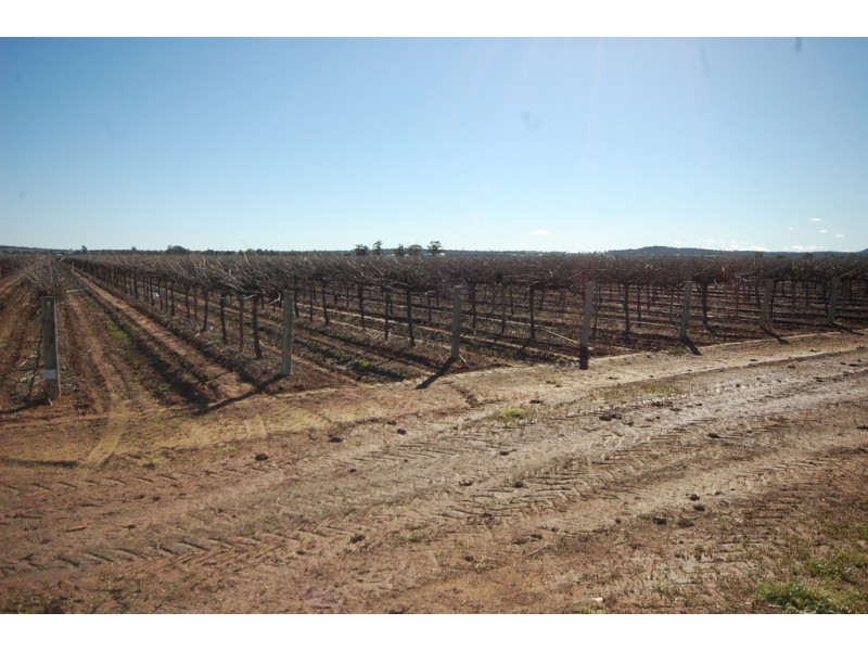 Farm 548B Moseley Road, Bilbul NSW 2680