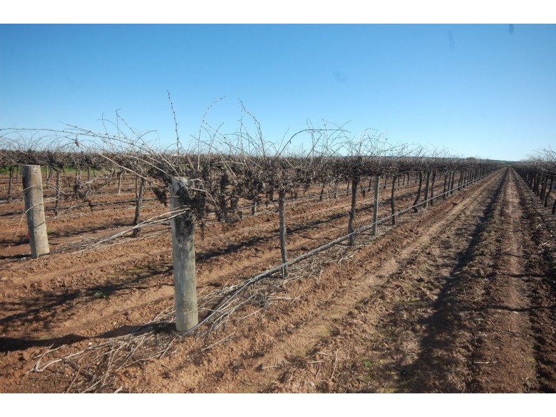 Farm 548B Moseley Road, Bilbul NSW 2680