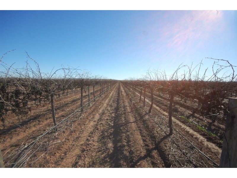 Farm 548B Moseley Road, Bilbul NSW 2680