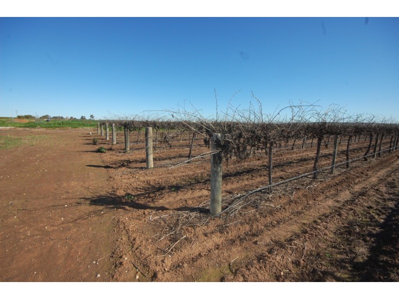 Farm 548B Moseley Road, Bilbul NSW 2680