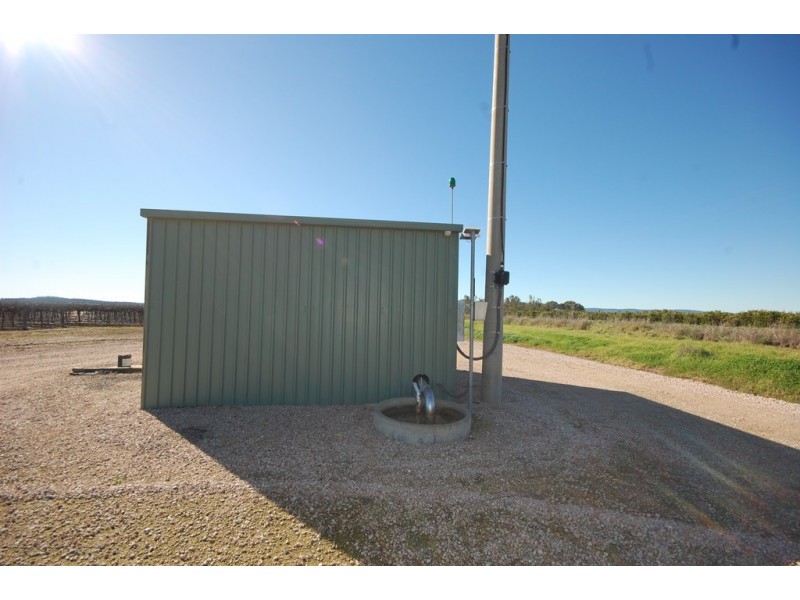 Farm 548B Moseley Road, Bilbul NSW 2680