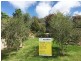 34 Lawford Crescent, Griffith NSW 2680