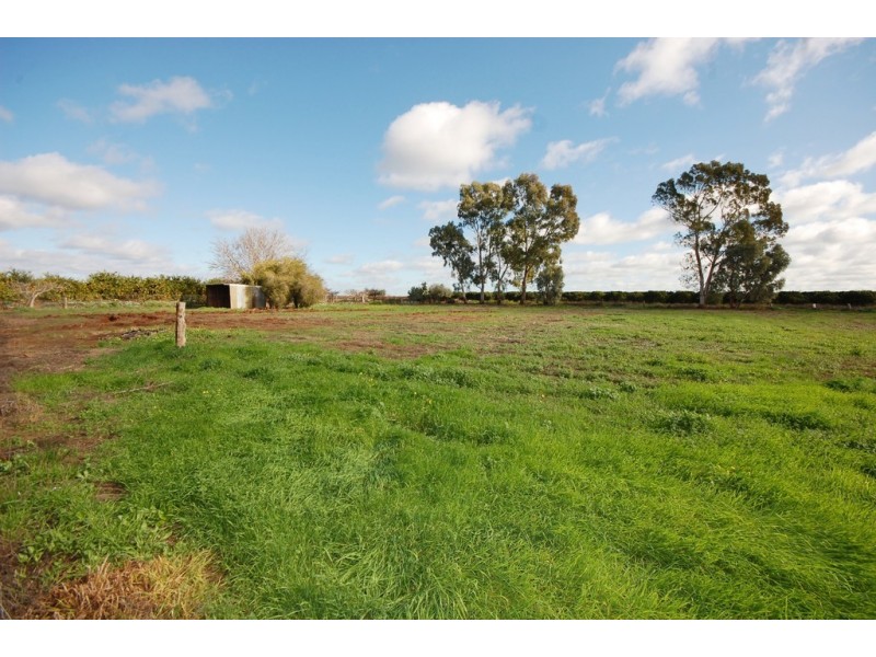 1197 Collins road, Griffith NSW 2680