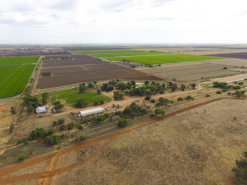 Farm 30D Lovell and Dossetor Rds, Benerembah NSW 2680