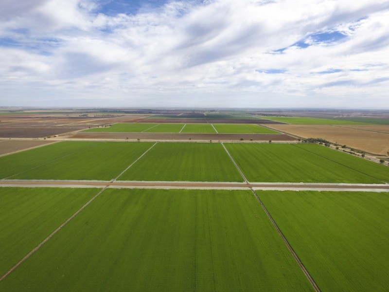 Farm 30D Lovell and Dossetor Rds, Benerembah NSW 2680