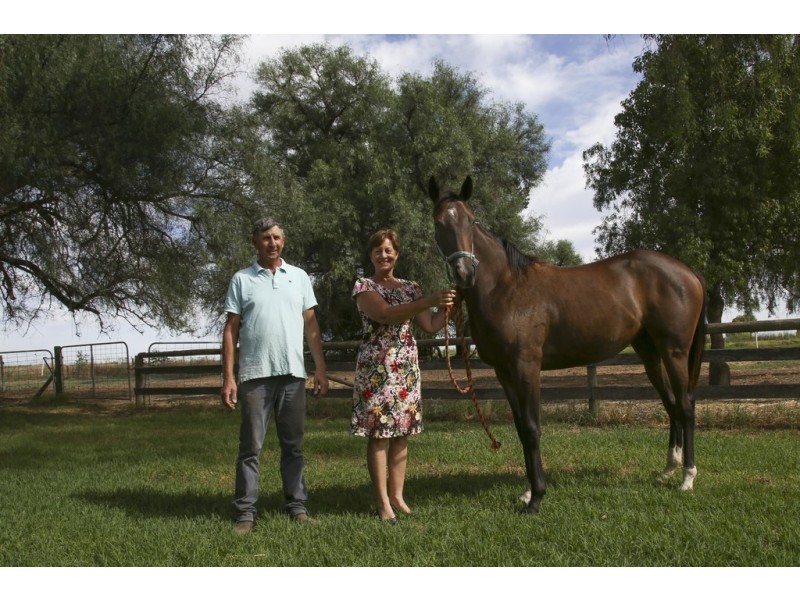 Farm 30D Lovell and Dossetor Rds, Benerembah NSW 2680