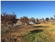 Farm 8833 Mid Western Highway, Rankins Springs NSW 2669