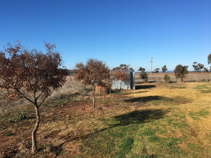 Farm 8833 Mid Western Highway, Rankins Springs NSW 2669