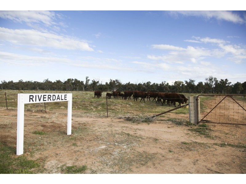 ‘Riverdale’ Murrumbidgee River Road, Carrathool NSW 2711