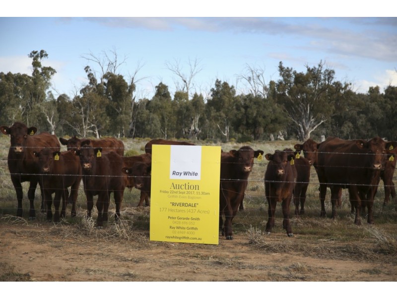 ‘Riverdale’ Murrumbidgee River Road, Carrathool NSW 2711