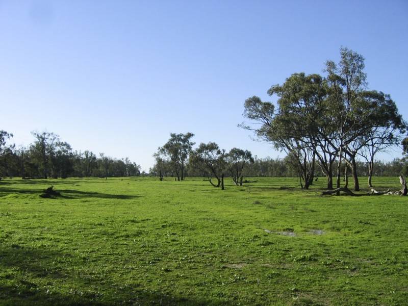 ‘Riverdale’ Murrumbidgee River Road, Carrathool NSW 2711