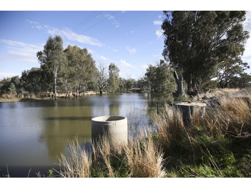 ‘Riverdale’ Murrumbidgee River Road, Carrathool NSW 2711