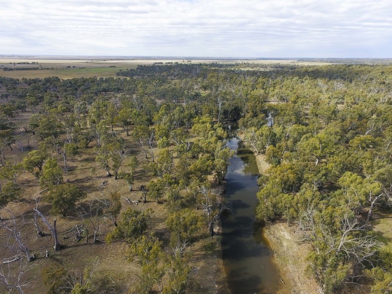‘Riverdale’ Murrumbidgee River Road, Carrathool NSW 2711