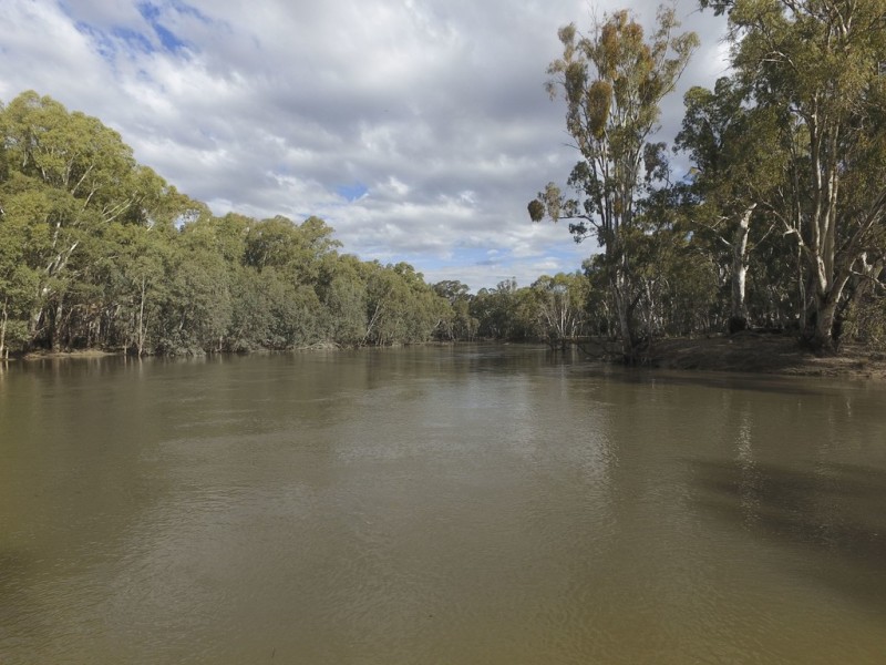 ‘Riverdale’ Murrumbidgee River Road, Carrathool NSW 2711