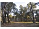 ‘Riverdale’ Murrumbidgee River Road, Carrathool NSW 2711