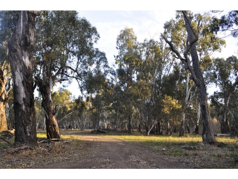 ‘Riverdale’ Murrumbidgee River Road, Carrathool NSW 2711