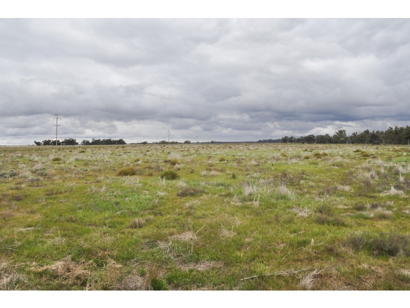 ‘Riverdale’ Murrumbidgee River Road, Carrathool NSW 2711