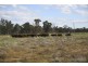 ‘Riverdale’ Murrumbidgee River Road, Carrathool NSW 2711