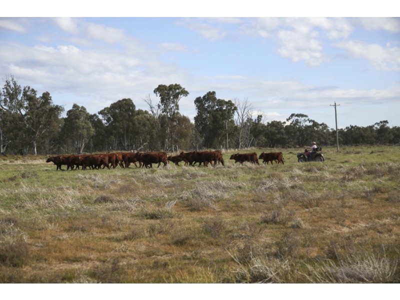 ‘Riverdale’ Murrumbidgee River Road, Carrathool NSW 2711