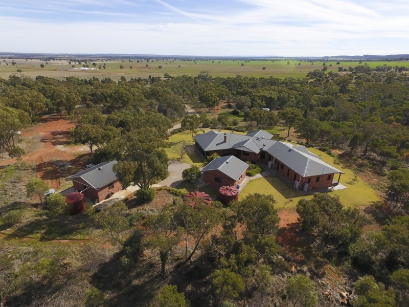 5 Annies Lane, Griffith NSW 2680